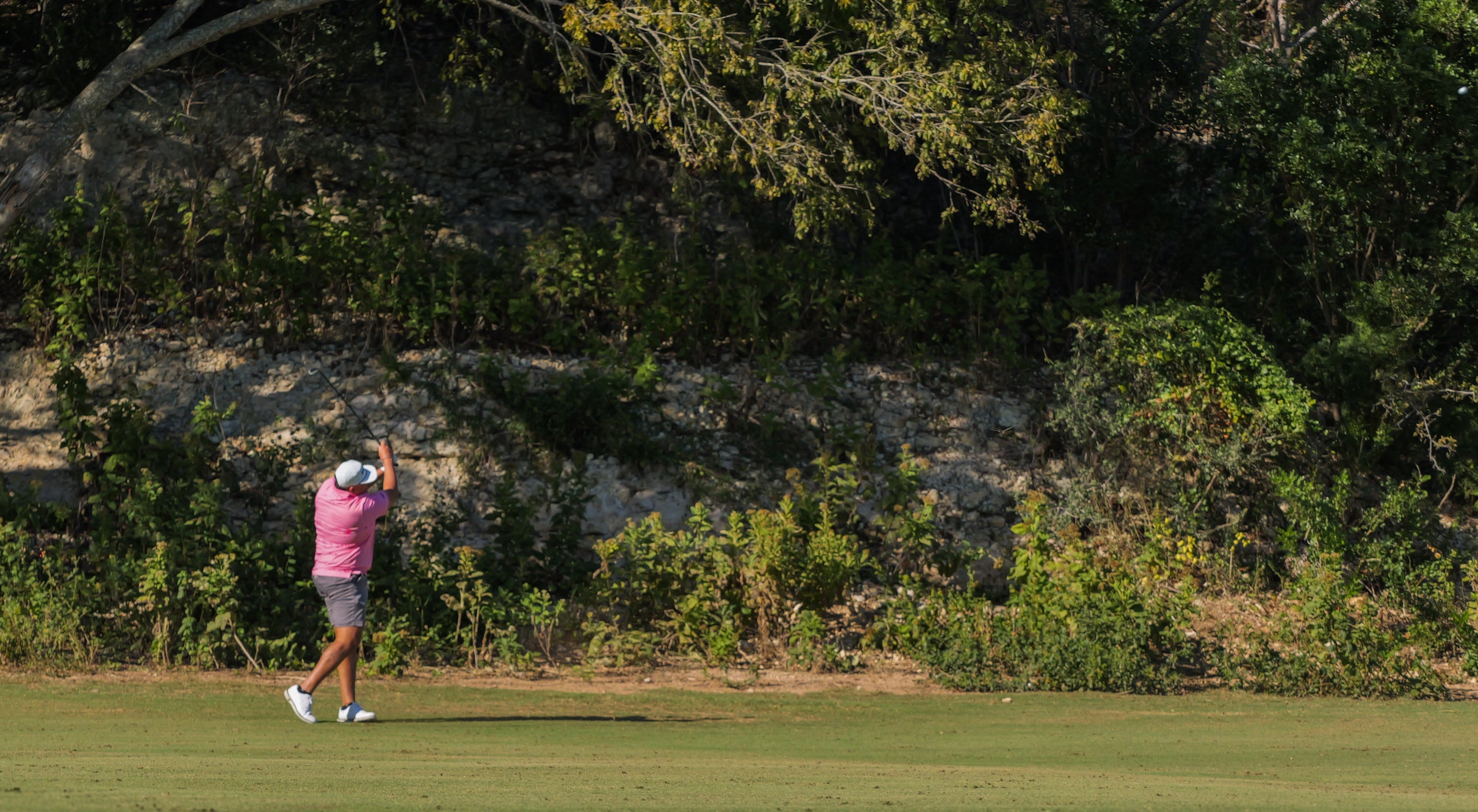 Golfer on a green course with trees in the background