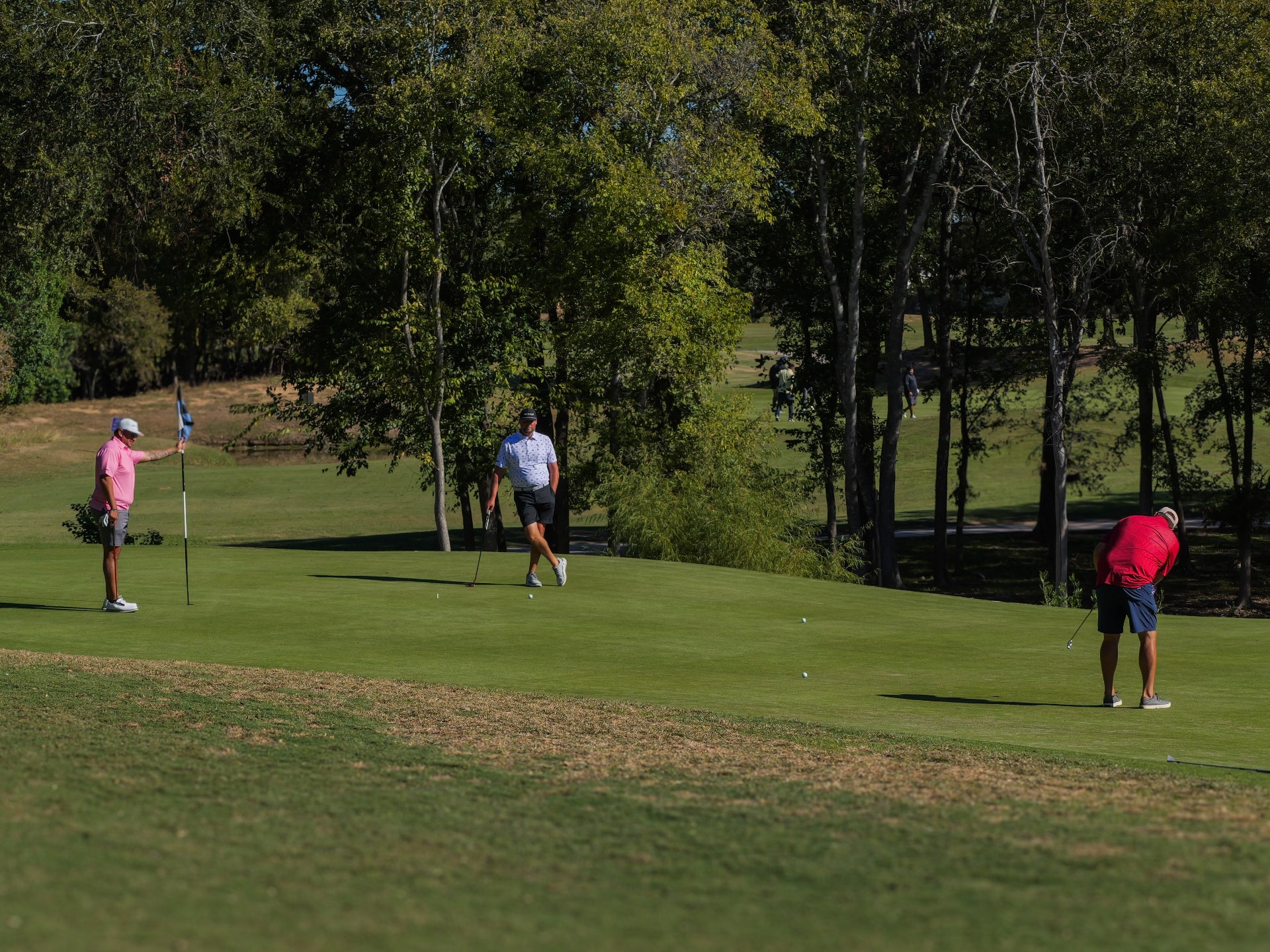 Three golfers on a green course with trees in the background